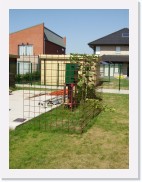 IMGP1062 * Het begin van de geurtuin rond de aanvoer van ons ventilatiesysteem: 2 wapeningsnetten die we zullen laten begroeien met geurende kamperfoelie (Lonicera).