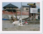 IMGP1186 * Blijf van ons erf, of je krijgt met Xan te maken ;-)