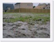 IMGP1319 * Voila, het begin van ons gazon.