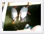 IMGP1537 * Eerst op verkenning gaan.