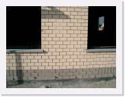 IMGP3558 * We mogen het kleurtje kiezen :-)